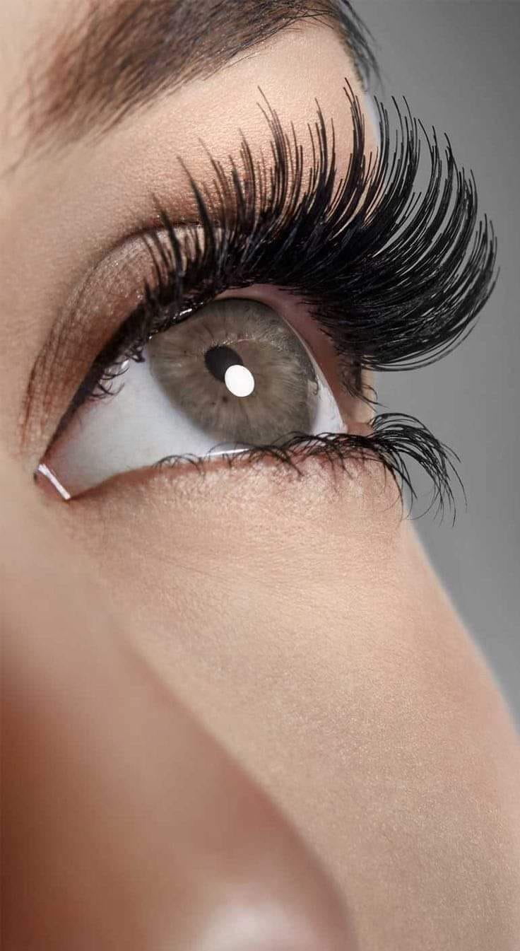 PESTAÑAS GRUPO S AMORUS - Imagen 5